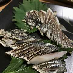 รูปของ 釣り人必見！コノシロ酢締めの炙り焼き
