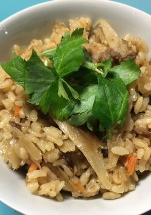 牛飯　具沢山でペロリ食べちゃうよ♫-レシピのメイン写真