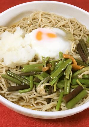 手軽に！おろし山菜月見そば-レシピのメイン写真