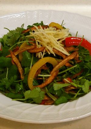 揚げごぼうとパクチーのサラダしょうが風味-レシピのメイン写真