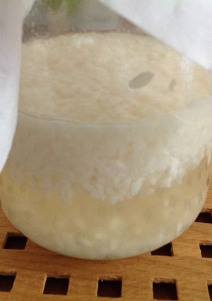 8月末から秋頃 気温26〜29℃酒饅頭種-レシピのメイン写真