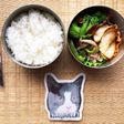 怒涛のお弁当生活71日目