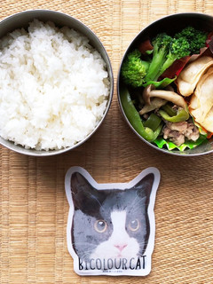 怒涛のお弁当生活71日目-レシピのメイン写真