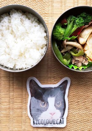 怒涛のお弁当生活71日目-レシピのメイン写真