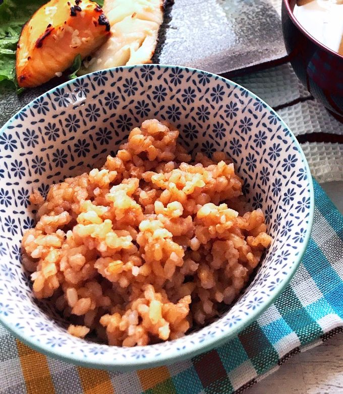 『酵素玄米専用保温器「Premium New 圧力名人」』 限定値下げ！おまけ付 酵素玄米 クックニュー 圧力 炊飯器 寝かせ玄米 発酵玄米