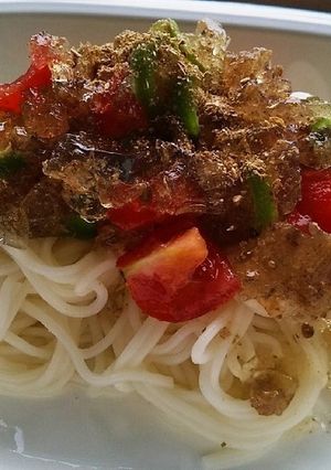 犬ご飯 キラキラそうめん-レシピのメイン写真