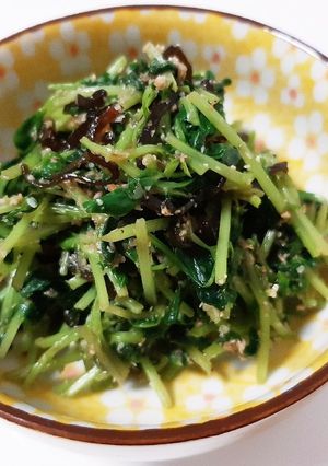5分で完成♡！豆苗の塩昆布あえ-レシピのメイン写真