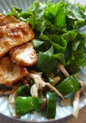 豚肉の梅風味甘辛ソテー-レシピのメイン写真