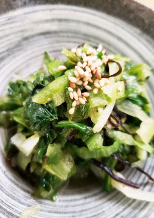 外の葉レタスの塩昆布あえ-レシピのメイン写真