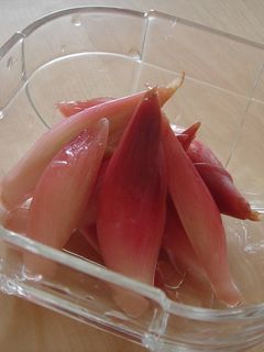 みょうがの甘酢漬け-レシピのメイン写真