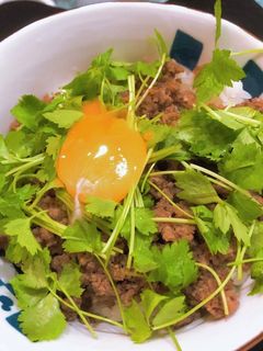 肉そぼろ丼-レシピのメイン写真