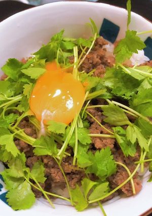 肉そぼろ丼-レシピのメイン写真