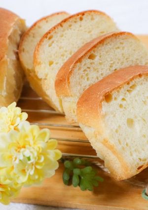 わんこ用豆乳パン-レシピのメイン写真