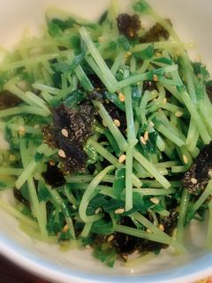 豆苗と韓国海苔のナムル-レシピのメイン写真