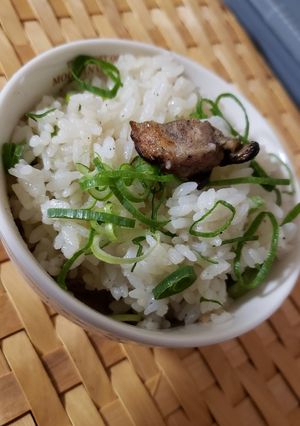 炭火焼鳥の炊き込みごはん-レシピのメイン写真