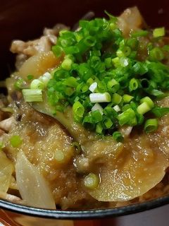 みぞれ豚丼~お疲れ胃腸に-レシピのメイン写真