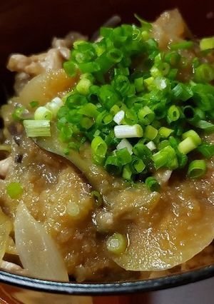みぞれ豚丼~お疲れ胃腸に-レシピのメイン写真