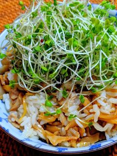 たっぷり舞茸の混ぜご飯-レシピのメイン写真