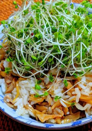 たっぷり舞茸の混ぜご飯-レシピのメイン写真