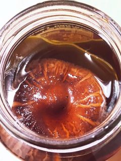 簡単!昆布出汁の取り方-レシピのメイン写真