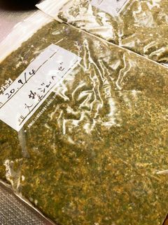 大葉のジェノベーゼ風ソース-レシピのメイン写真