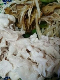 金森式ダイエット。豚しゃぶと野菜炒め-レシピのメイン写真