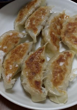 卯の花で作った肉なし餃子-レシピのメイン写真