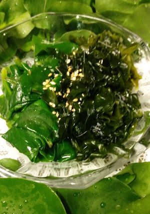 水陸両方楽しむ♪ワカメとオカワカメ-レシピのメイン写真