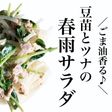 豆苗とツナの春雨サラダ