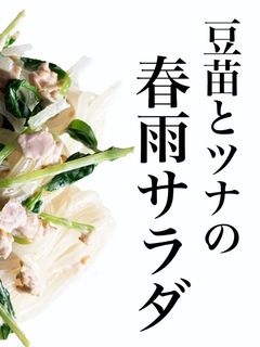 豆苗とツナの春雨サラダ-レシピのメイン写真
