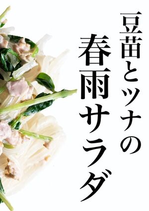 豆苗とツナの春雨サラダ-レシピのメイン写真