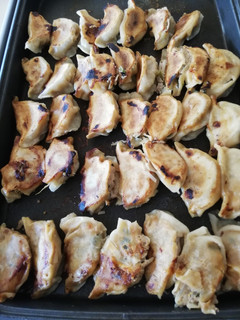豆腐ともやしが入った餃子-レシピのメイン写真
