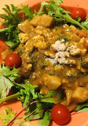 レトルト●ボンカレーの鶏肉キーマカレー風-レシピのメイン写真
