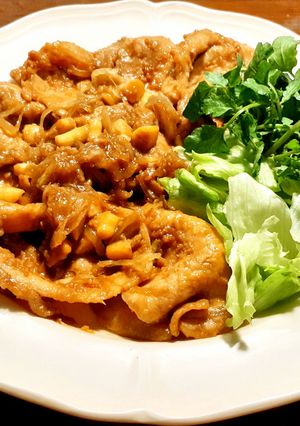 柔らかい豚肉の生姜焼き　（発酵玉葱）-レシピのメイン写真