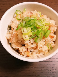 ネギごはん-レシピのメイン写真