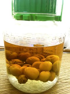 梅酒-レシピのメイン写真