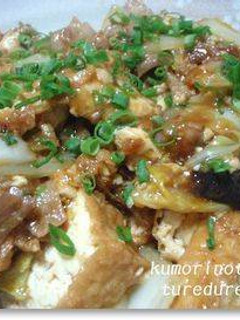 厚揚げと豚バラ肉の甘辛炒め-レシピのメイン写真