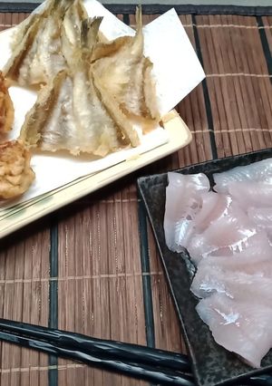 コアラの刺身と天ぷらと-レシピのメイン写真