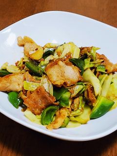 回鍋肉~甜麺醤+豆板醤使用で本格派に~-レシピのメイン写真