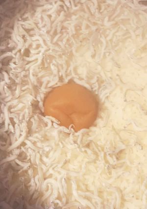 しらす梅ごはん-レシピのメイン写真