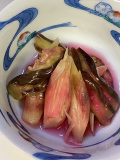 ナスとみょうが 即席!無添加しば漬け-レシピのメイン写真