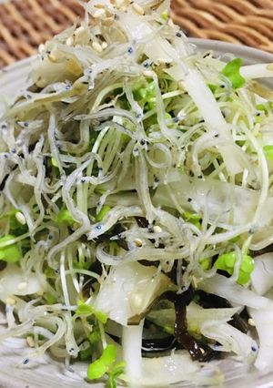 玉葱大根ブロッコリースプラウト塩昆布和え-レシピのメイン写真