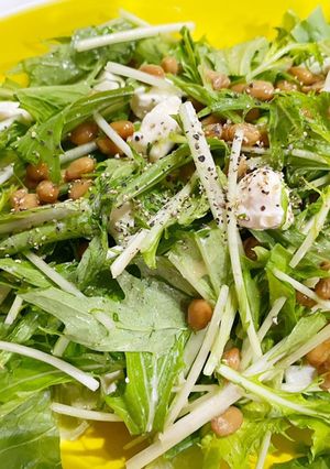 水菜と納豆とクリームチーズのサラダ-レシピのメイン写真