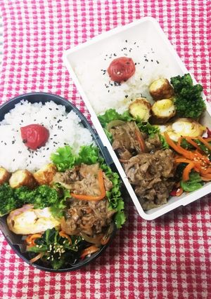 高校男子弁当♡牛肉甘辛炒め①9/7-レシピのメイン写真