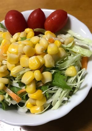 水菜とキャベツ、5種の毎日サラダ-レシピのメイン写真