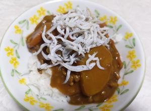 カレーのトッピングに。シラスかじゃこ☆-レシピのメイン写真