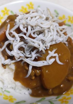カレーのトッピングに。シラスかじゃこ☆-レシピのメイン写真