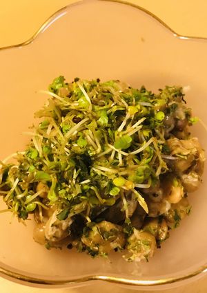 毎日の納豆●ワサビ醤油スプラウト-レシピのメイン写真