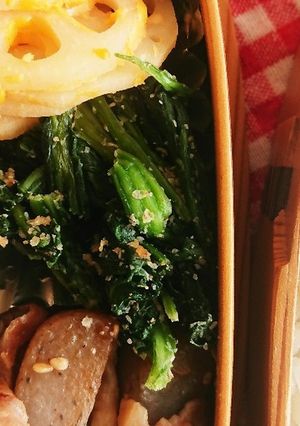 お弁当★冷凍ほうれん草レンチン胡麻和え-レシピのメイン写真