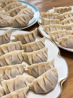 大葉の餃子-レシピのメイン写真